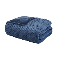 Relorae™ Luxurious Minky Weighted Blanket