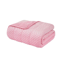 Relorae™ Luxurious Minky Weighted Blanket